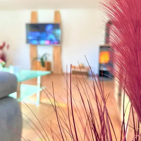 Big For Your Dream Vacation Bavarian Forest + Netflix